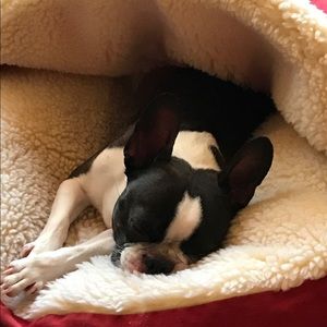 Meet your Posher, Roselle